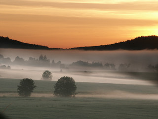 Fog