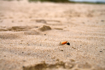 cigarette on the beach 