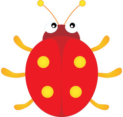 Ladybug