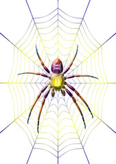 08araña virtual