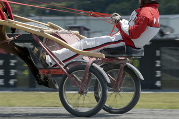 Fototapeta premium big wheels 3