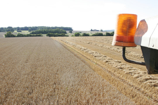 season of the harvests