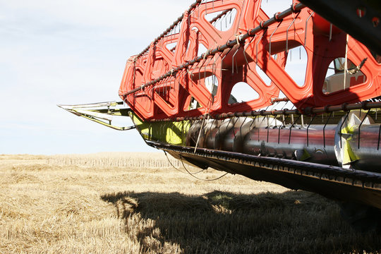 season of the harvests