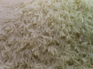 Deurstickers Grains de riz © Bernard BAILLY