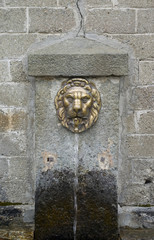 Fontana testa di leone