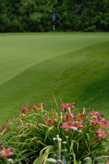 Putting green and flowers