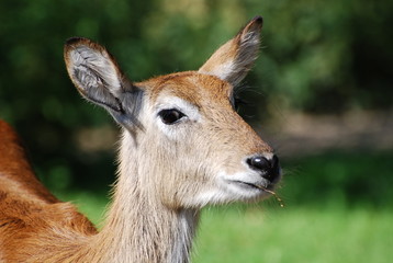 j'ai quoi? dans ma bouche?