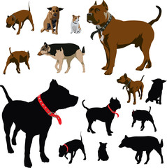 Many dogs (Vector illustrations and silhouettes)