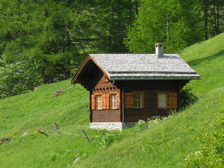 Fototapeta na wymiar Chalet suisse à Derborence