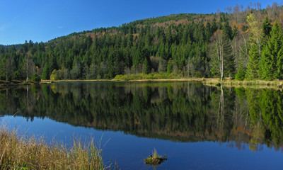 Tourbière de Lispach