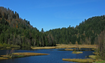Tourbière de Lispach