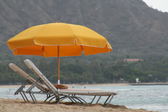 Photosh Photos Images Assets Adobe Stock