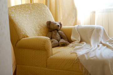 toy bear in sofa