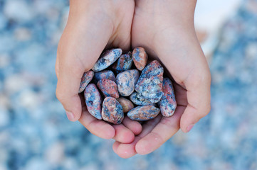 hands full of sea stones