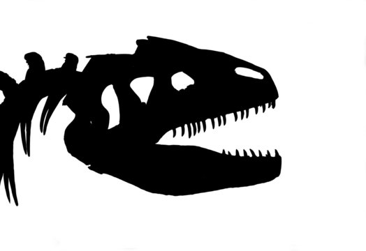Dinosaur Skeleton (Not Vector)