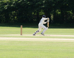 Obraz premium cricket batsman