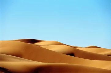 Tissu par mètre Sécheresse Dunes du désert