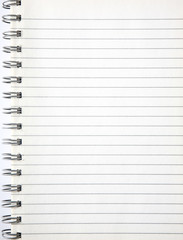 A blank page of an old notebook.