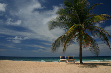 Sun Chairs on the Beach