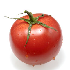 Fresh tomato, isolated