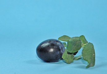 Zwetschge