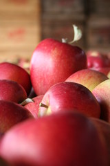 Braeburn apples grower 59