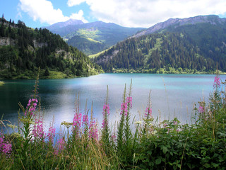 lac de montagne