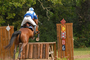 cheval saute un obstacle