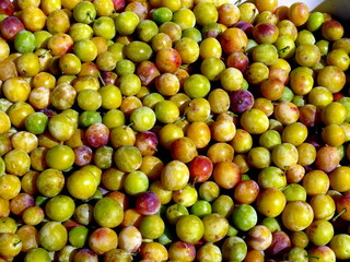 Mirabelles empilées