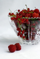 Raspberry and currant
