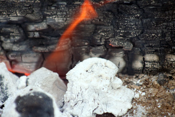 buche en feu