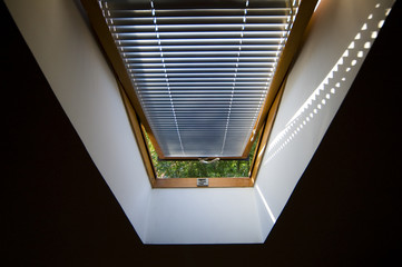 Open roof window