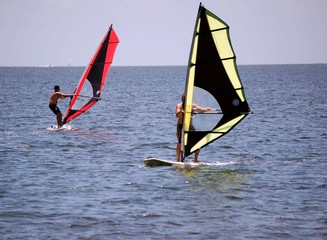 Sailboarding on Biscayne Bay