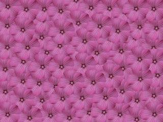 Fototapeta premium aplique work from flower of the petunias