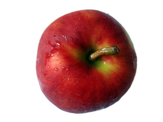 apple top