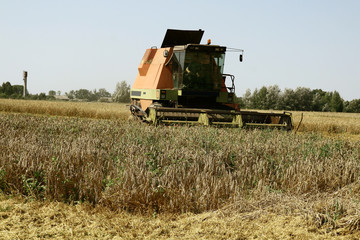 Naklejka premium Kombajn zbożowy