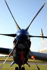 Prop Blades