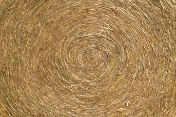 Hay bale close up.