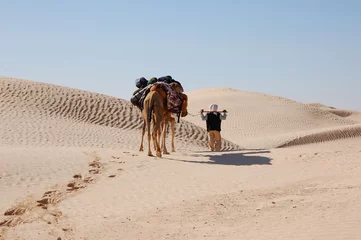 Wandcirkels tuinposter caravan in desert Sahara © Dmytro Korolov