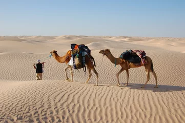 Tuinposter kameelkaravaan in woestijn Sahara © Dmytro Korolov