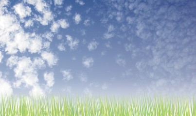 Fototapeta na wymiar Rasen vor Wolkenhimmel