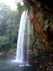 mexique agua azul aguas claras jungle am&eacute;rique centrale