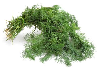 bunch of green dill