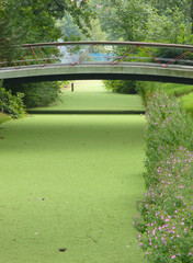 green canal 