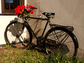 Fototapeta na wymiar Jazda na rowerze rośliny drzwi II