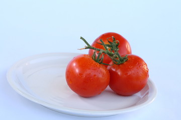 Three tomatos on a white plate