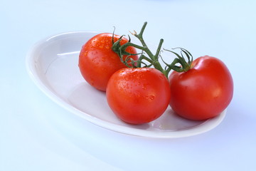 wet tomato on white background