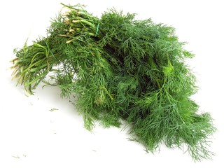 bunch of green dill