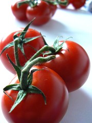 Tomaten
