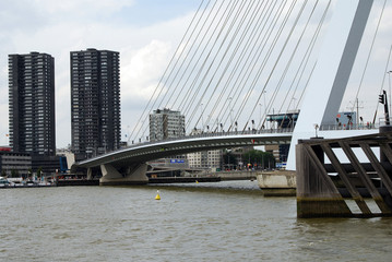 erasmus bridge rotterdam